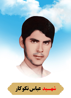 تصویر شهید عباس نکوکار